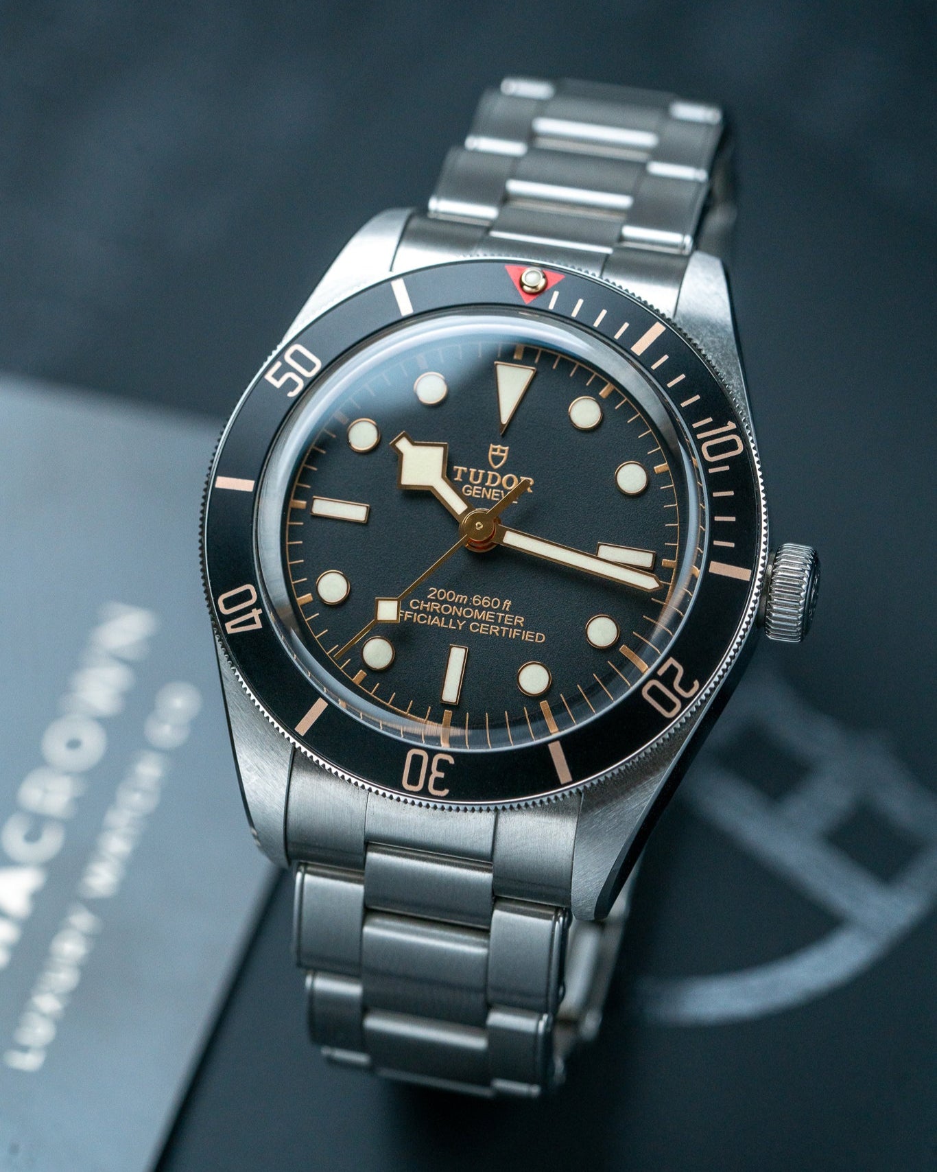 2022 Steel Tudor Black Bay 58 79030N Watch at Alpha Crown Dallas